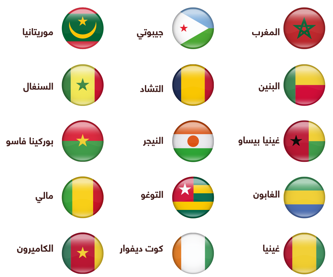 Première réunion collégiale des pays membres de l'Alliance Africaine