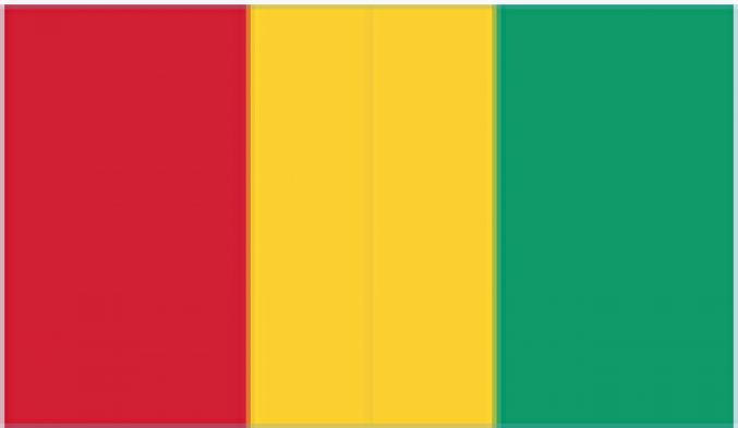 guine-flag.png